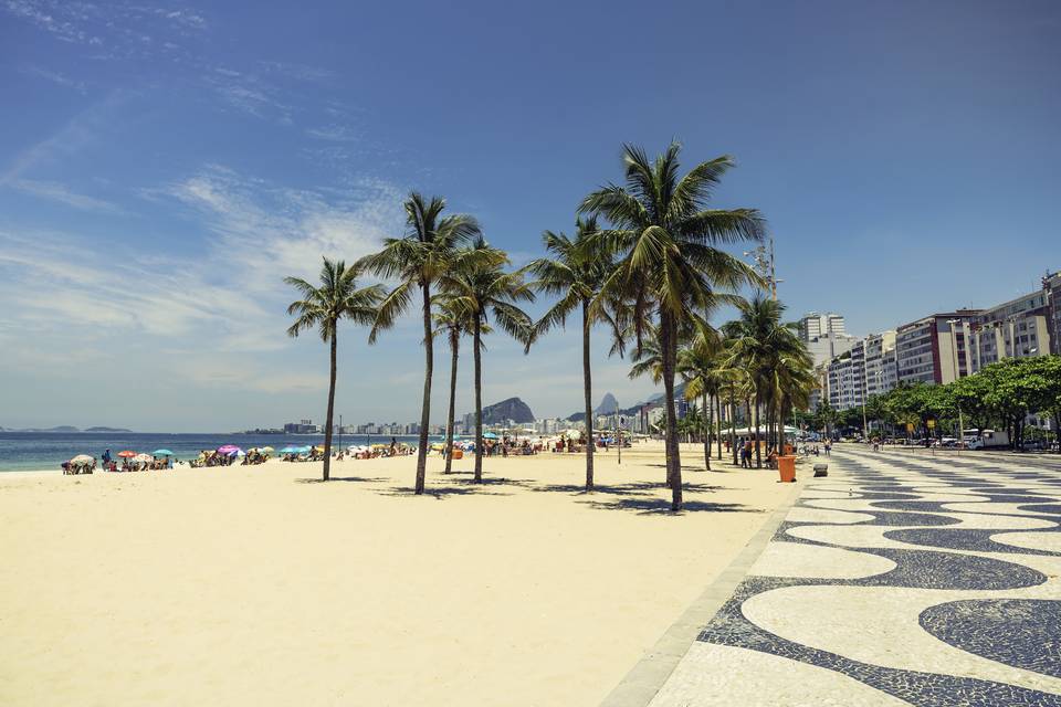 A quiet palm promenade along the beach